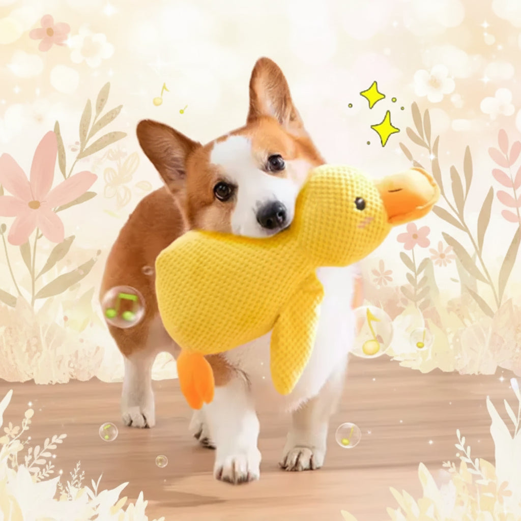 Pawfect Nest™ Calming Duck Plush Toy – Squeaky Chew Toy for Puppies & Dogs