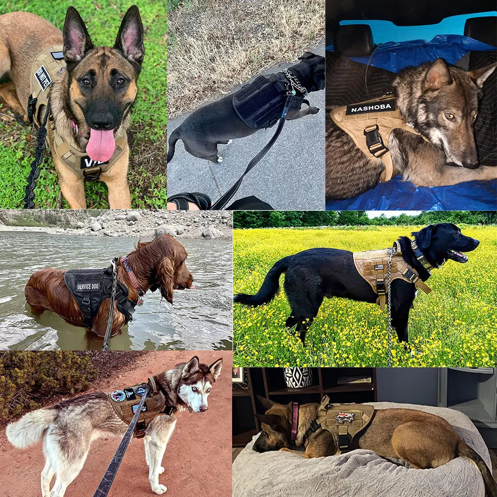 Heavy-Duty Tactical Dog Harness Set with Leash – No Pull Training Vest for Large Breeds